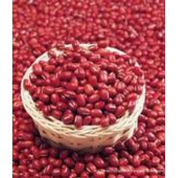 2015 New Crop Alta qualidade Red Kidney Bean